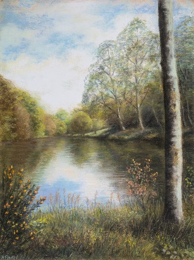Fiume Dart Devon da Margo Starkey